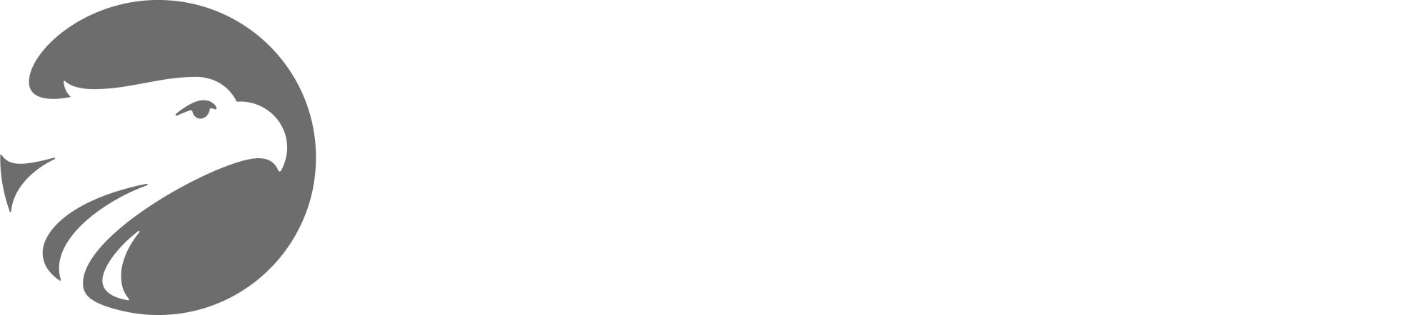 Logotipo-Wizard-BRAsadasdsaNCO (1)